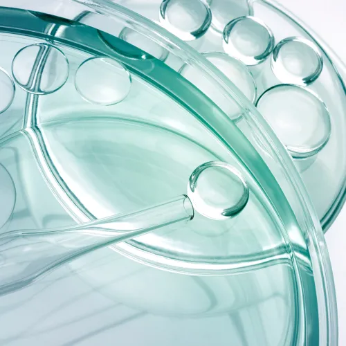 IlSaloneDiMilano Složení Aminokyseliny