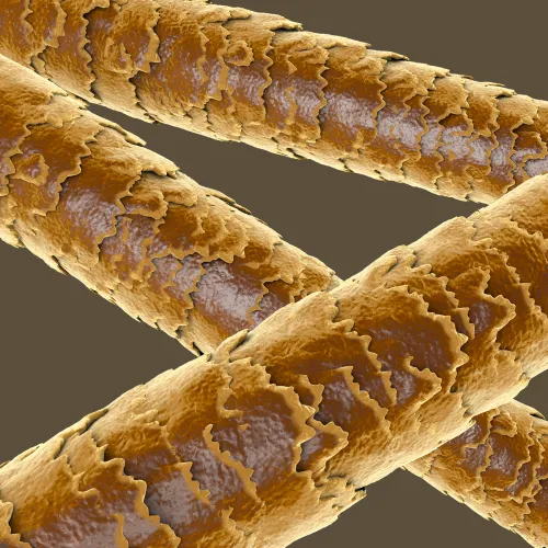 IlSaloneDiMilano Složka Keratin