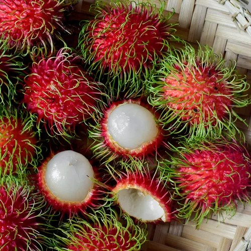 IlSaloneDiMilano Přísada Rambutan